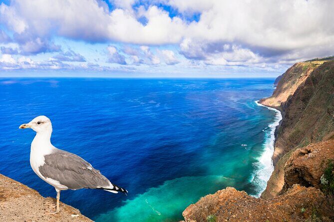 Jeep Safari in Southwest, Calheta and Ponta do Sol Full Day Tour - Frequently Asked Questions