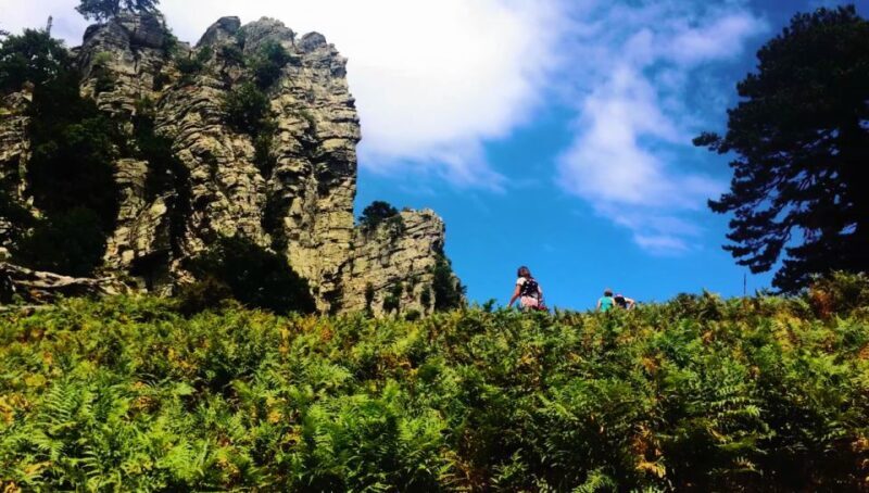 Jeep Safari in Thassos Mountain with picnic fruits & wine - An In-Depth Look at the Thassos Mountain Jeep Safari