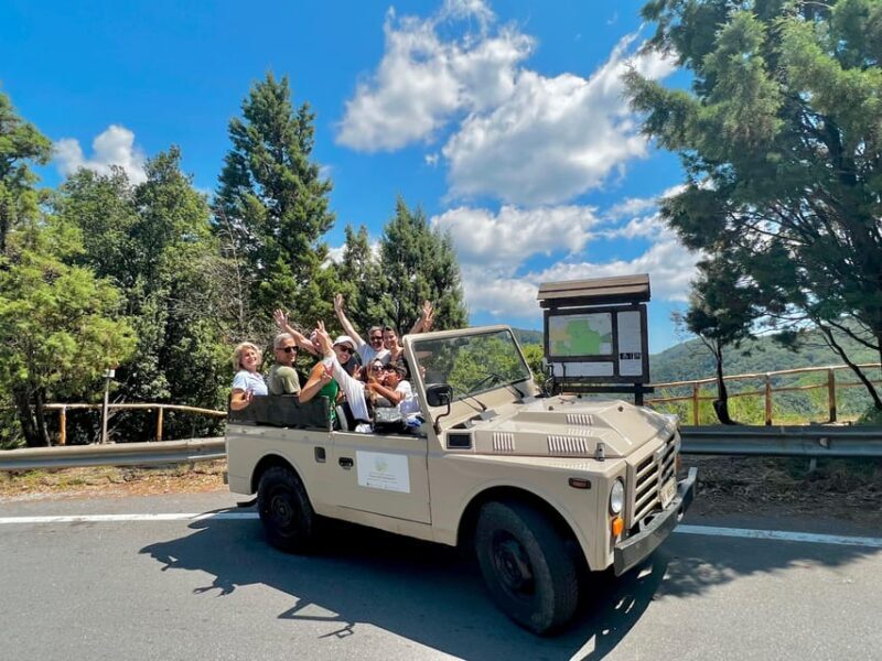 Jeep safari in the Aspromonte National Park - Key Points