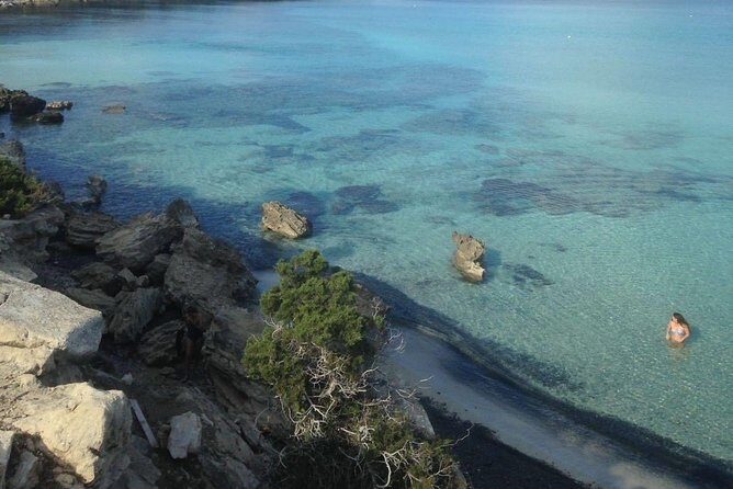 Jeep Safari to Akamas National Park: Avakas Gorge Tour from Paphos - A Deep Dive into the Jeep Safari Experience