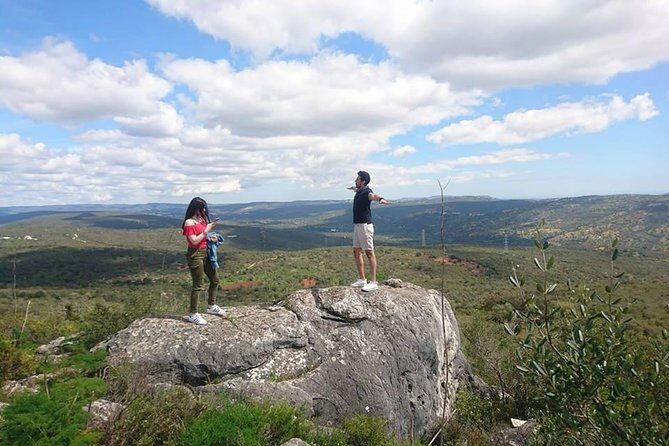 Jeep Safari Tour - Half Day - A Detailed Look at the Jeep Safari Experience