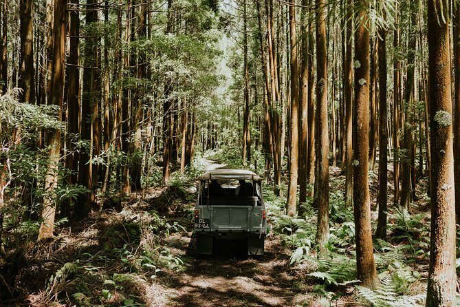 Jeep Safari Tour - Terceira Island FD - Exploring Terceira in a Jeep: What You Can Expect