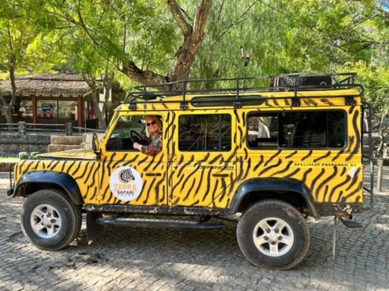 Jeep Safari Tours- Half Day - Who Would Enjoy This Tour?