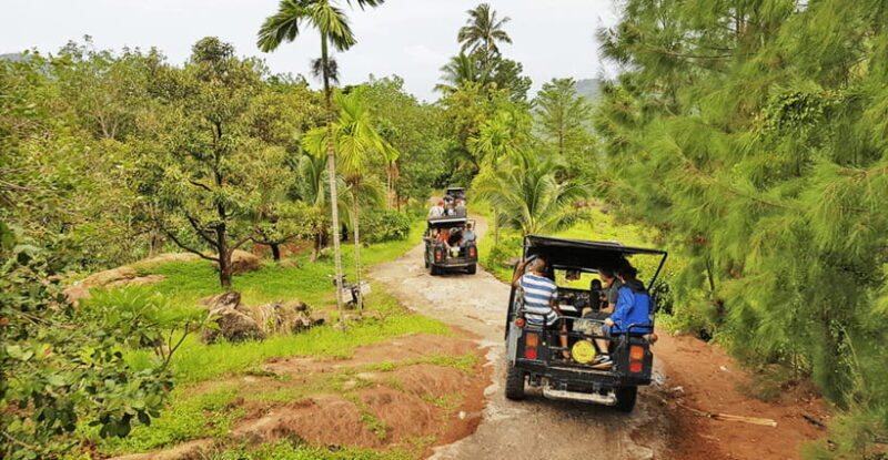 Jeep Tour Koh Samui Jungle Safari Full Day Adventure - An In-Depth Look at the Koh Samui Jungle Safari