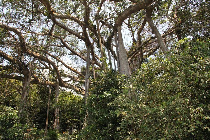 Jeep Tour Monkey Mountain & Son Tra Peninsula 3Hr - The Experience from Travelers’ Perspectives