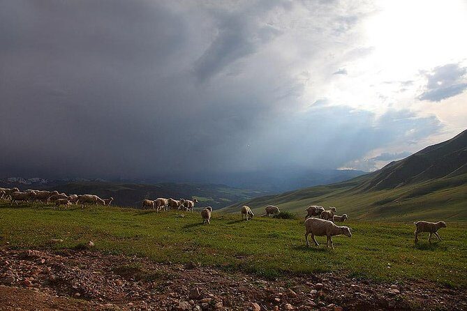 Jeep Tour: Plateau Assy - FAQ