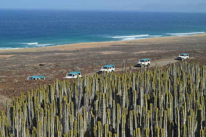 Jeep Tour to Cotillo and Northern Area of Fuerteventura - Authenticity and Value