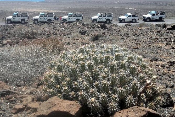 Jeep Tour to Cotillo and Northern Area of Fuerteventura - Final Thoughts