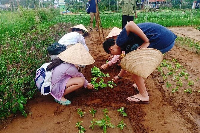 Jeep Tour to Hoi An Countryside with 3 Local Villages & Basket Boat Ride - Key Points