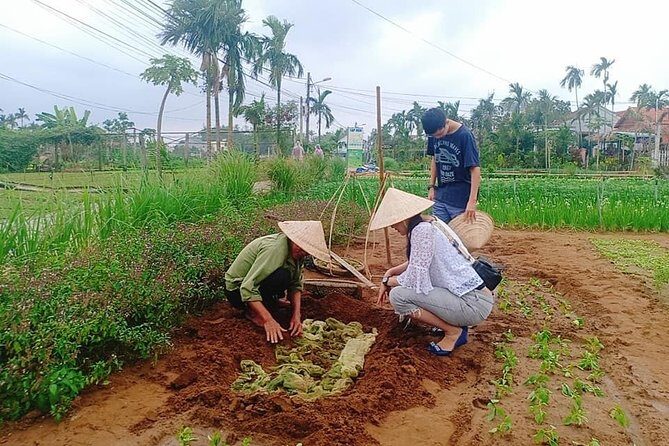 Jeep Tour to Hoi An Countryside with 3 Local Villages & Basket Boat Ride - Who Should Consider This Tour?