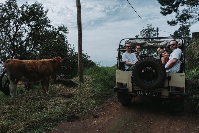 Jeep Tour To ,(Skywalk, Seixal, Porto Moniz, Fanal) - Final Thoughts