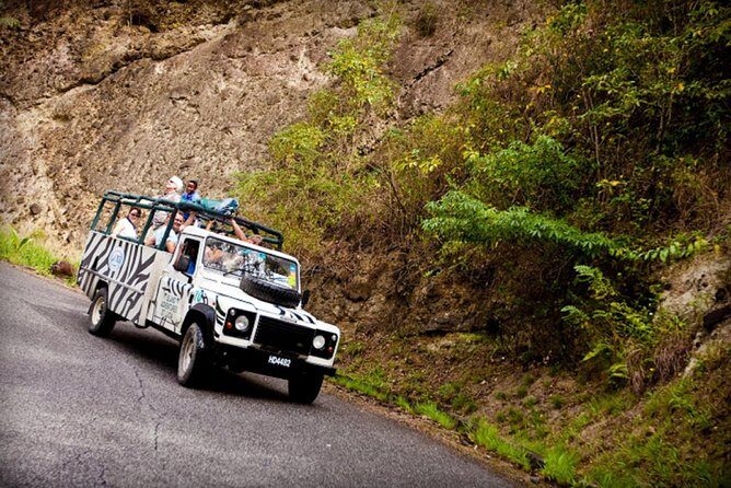 Jeep & Zip Safari St. Lucia From Castries - A Closer Look at the Jeep & Zip Safari in St. Lucia