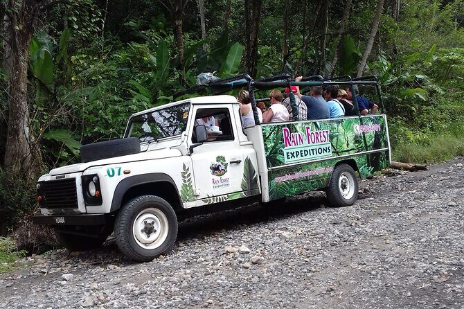 Jeep & Zipline Adventure in St. Lucia - An In-Depth Look at the Jeep & Zipline Experience in St. Lucia