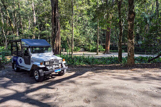 Jeep'n'Culture: Rocinha Favela and Tijuca Rainforest Tour - An Honest Look at the Tour Experience