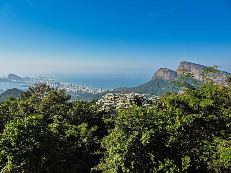 Jeep'n'Culture: Rocinha Favela and Tijuca Rainforest Tour - Exploring Rio’s Natural and Cultural Gems with the JeepnCulture Tour