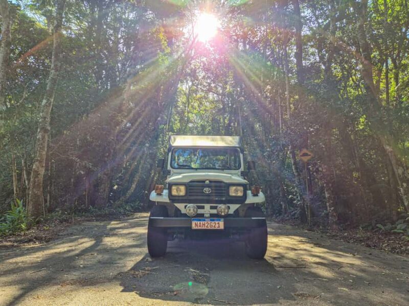 Jeep'n'Culture: Rocinha Favela and Tijuca Rainforest Tour - Final Thoughts: Is It Worth It?