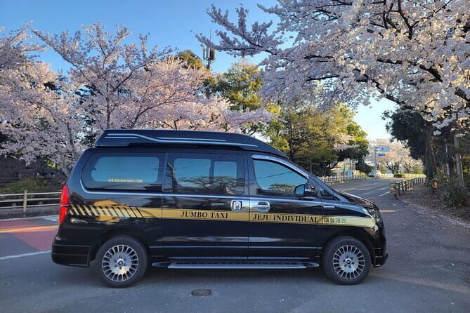 Jeju BTS & K-drama Small Group Day Tour including Snoopy Garden - Stop 1: Snoopy Garden (1 Hour)