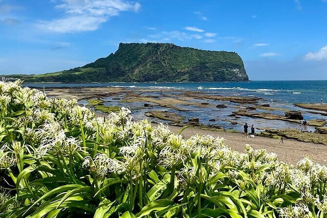 Jeju BTS & K-drama Small Group Day Tour including Snoopy Garden - Stop 2: Siheung-ri (15 Minutes)