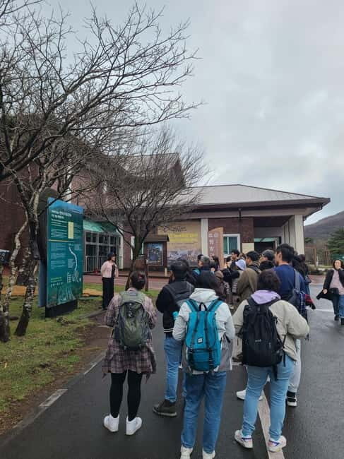 Jeju: Cherry Blossom South & West Day Tour with Hotel Pickup - A Deep Dive into the Jeju South & West Cherry Blossom Tour