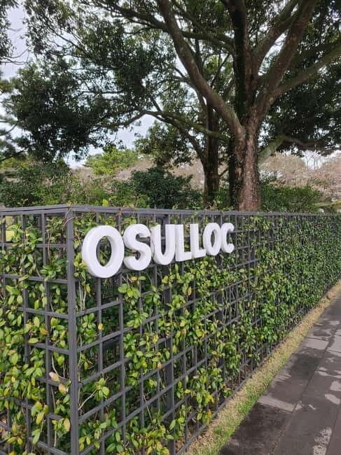 Jeju: Cherry Blossom South & West Day Tour with Hotel Pickup - Who Should Consider This Tour?