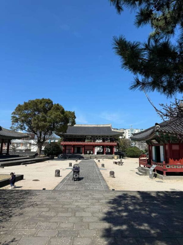 Jeju city walking tour with a certified guide - Final Thoughts