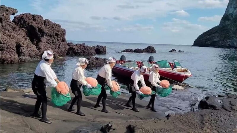 Jeju: Customized Private Vehicle Day Tour - Key Points