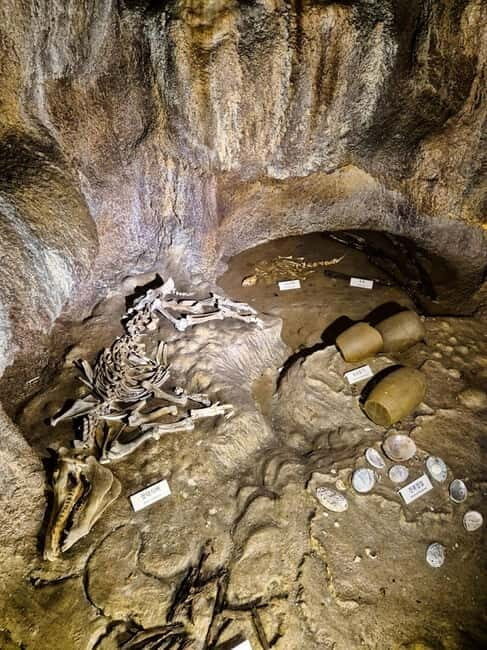 Jeju: customized shore excursions for up to 7 people - Key Points