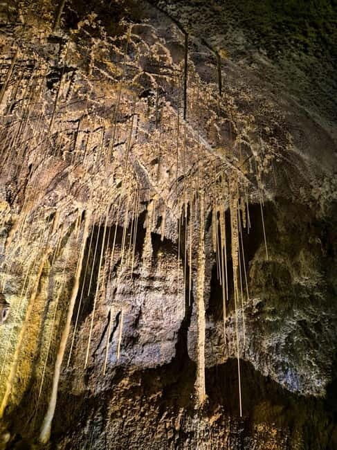 Jeju: customized shore excursions for up to 7 people - Who Should Consider This Tour?