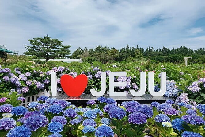 Jeju Day Tour for Cruise Guests - Who Will Love This Tour?