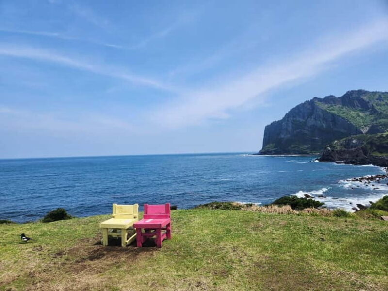 Jeju East: Cherry Blossom Early Bird Tour with Hotel Pickup - FAQ