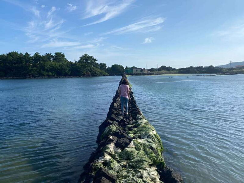 Jeju East: K-Drama Filming Spots Tour with Hotel Pickup - Key Points