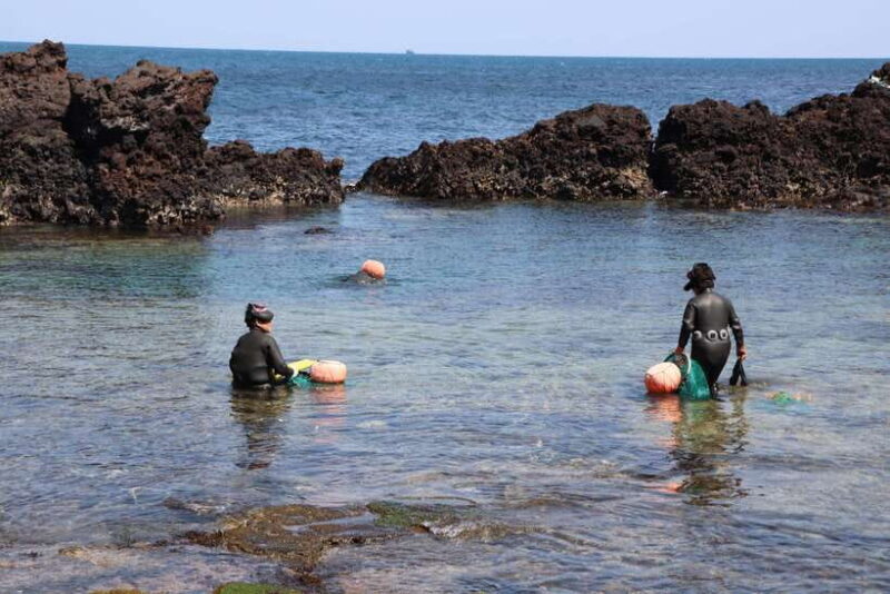 Jeju: East of Jeju Island Bus Tour from Seogwipo City - Frequently Asked Questions