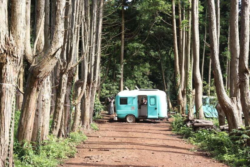 Jeju: East of Jeju Island Bus Tour from Seogwipo City - Final thoughts