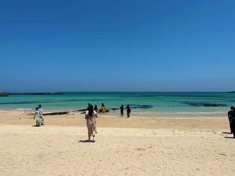 Jeju East: Small Group Healing Tour w/Woman Divers Show - Key Points