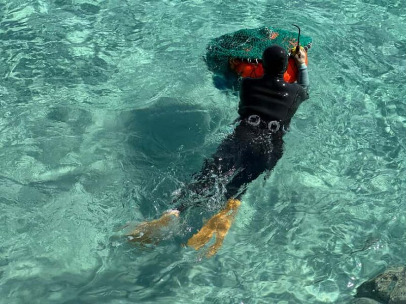 Jeju East: Small Group Healing Tour w/Woman Divers Show - Bijarim Forest: Nature’s Detox