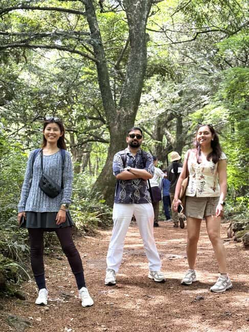 Jeju East: Small Group Healing Tour w/Woman Divers Show - Sweet Ending at a Tangerine Café