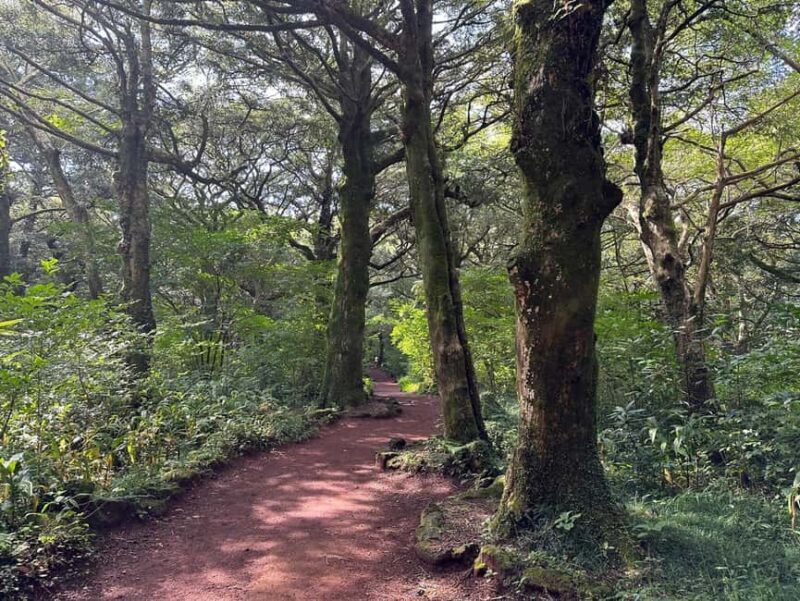 Jeju East: Small Group Healing Tour w/Woman Divers Show - Flexible Drop-off and Tour Wrap-up