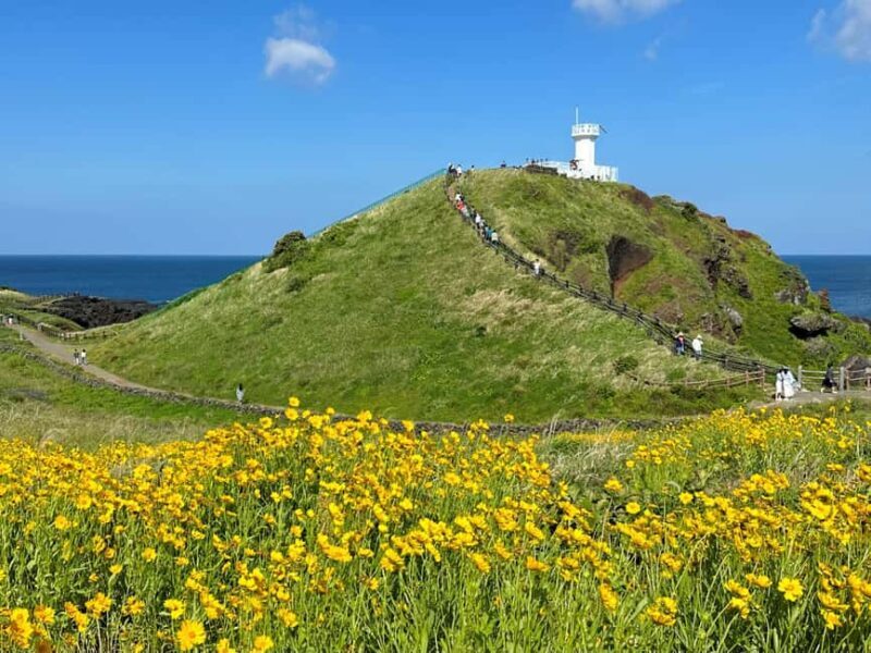Jeju East Small Group Tour Cherry Blossom & Woman Diver Show - Who Should Consider This Tour?