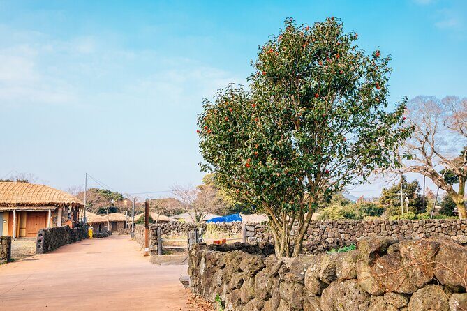 Jeju Eastern Must visit Unesco Spots Join In Tour - The Sum Up