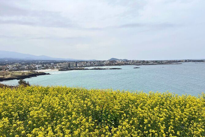 Jeju Eastern Must visit Unesco Spots Join In Tour - FAQ