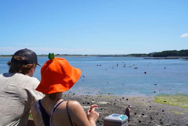 Jeju: Eastern UNESCO Join in Tour (Seongsan, Haenyeo) - Key Points