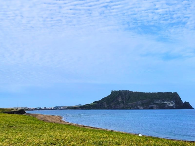 Jeju Eastern/ Western/ Hydrangea/ Seongsan Ilchulbong/ Private Tour - Climbing Seongsan Ilchulbong