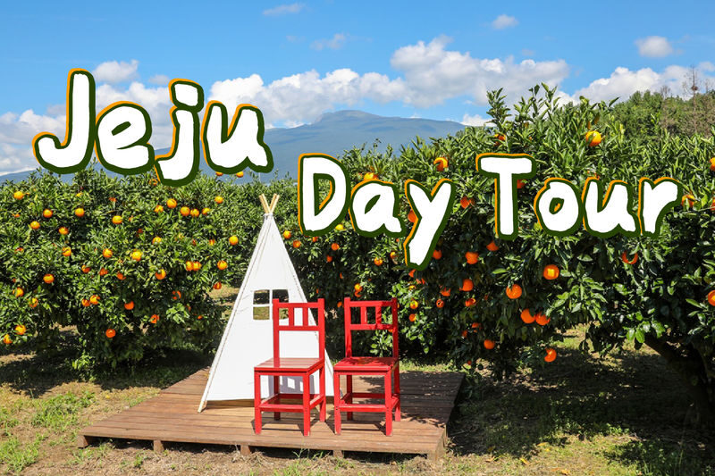 Jeju Eastern/ Western/ Hydrangea/ Seongsan Ilchulbong/ Private Tour - Finishing at Snoopy Garden