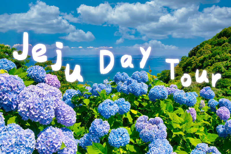 Jeju Eastern/ Western/ Hydrangea/ Seongsan Ilchulbong/ Private Tour - What the route does and does not include