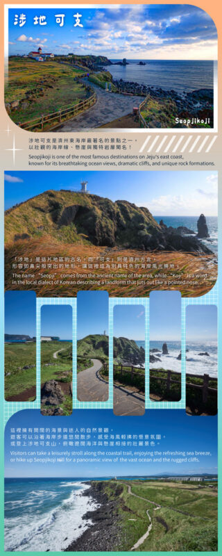 Jeju Eastern/ Western/ Hydrangea/ Seongsan Ilchulbong/ Private Tour - Who should book this Jeju day tour?