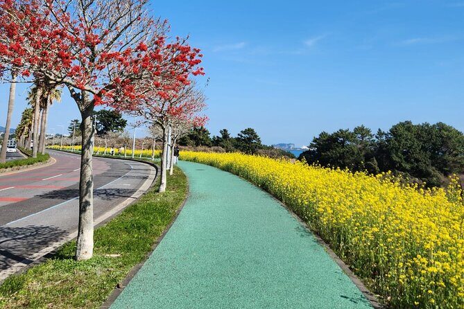 Jeju English Private Taxi Tour(1day, 2days, 3days & 1 to 8pax) - Detailed Itinerary Breakdown