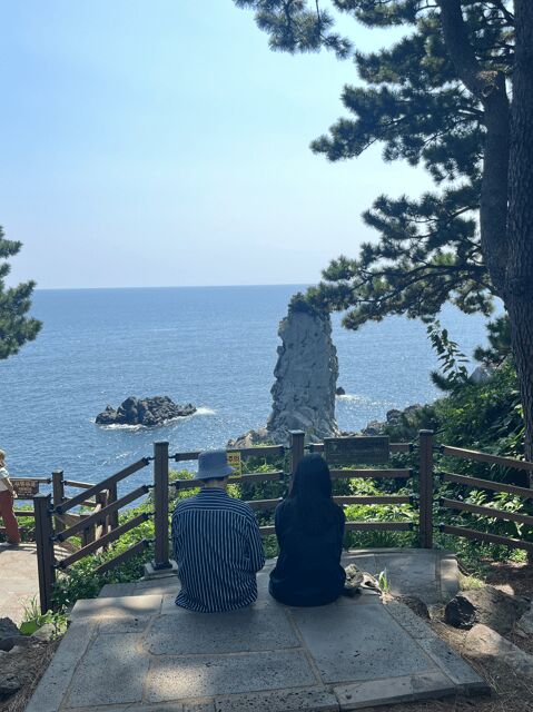 Jeju: Highlight Customized Private tour with Expert Guide - Why Choose a Private, Custom Jeju Tour?