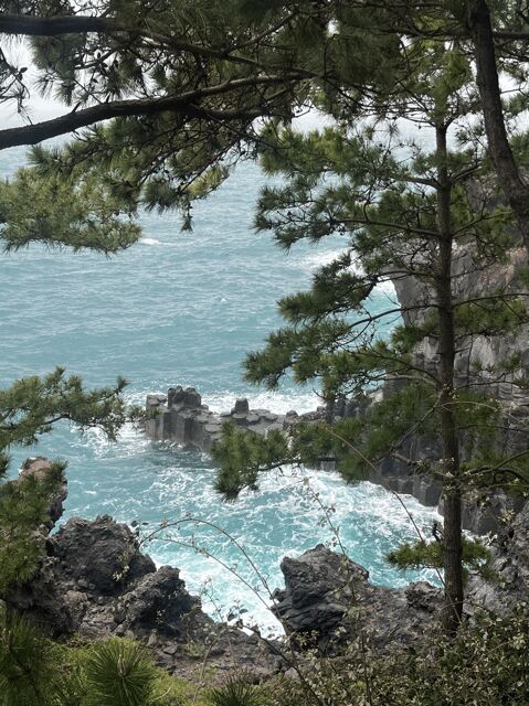 Jeju: Highlight Customized Private tour with Expert Guide - FAQ