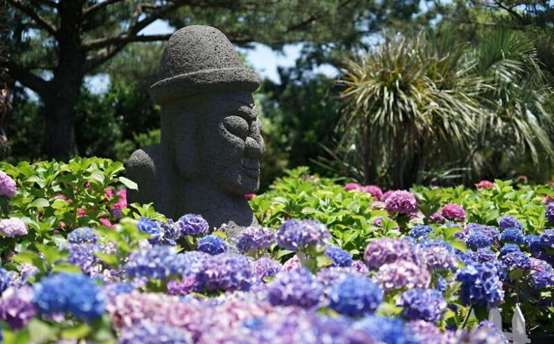 Jeju Hydragea Festival Tour : EAST Route - Full Review: Unpacking the Jeju Hydrangea Festival Tour — East Route
