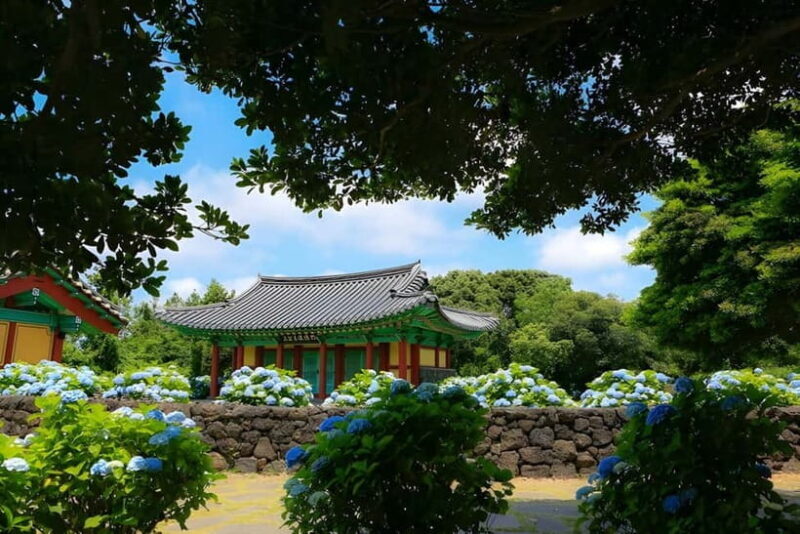 Jeju Hydragea Festival Tour : EAST Route - Final Thoughts